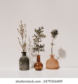 Floral Arrangements in Unique Vases. Dark Mottled Vase with White Flowers, Round Amber Vase with Green Leaves, Translucent Vase with Spiky Bloom. Aesthetic Minimalist Background for Design Ideas - Powered by Shutterstock