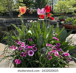 A floral array on a path at the Arboretum in Asheville, NC in early Spring