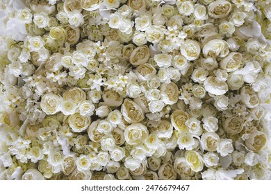 Floral background of faux roses is saddled with bright light
