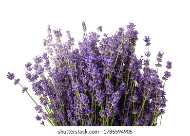 Bunch Lavender Flowers On White Background Stock Photo (Edit Now) 623211260