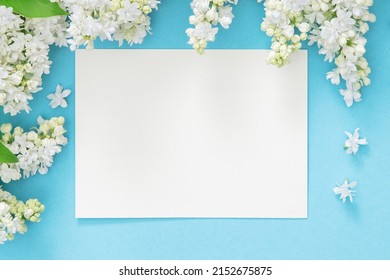 Stock Photo and Image Portfolio by LiliGraphie | Shutterstock