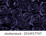 A floral background of open rose heads in a rich, deep dark purple future dusk, the color of the year 2025. Seamless Floral pattern