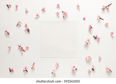 Floral background with a space for a text, Mother's Day spa or other suitable springtime occasion card template - Powered by Shutterstock