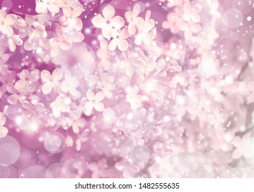 Floral Background Spring Flowers Pastel Soft Stock Photo 1482555635 ...