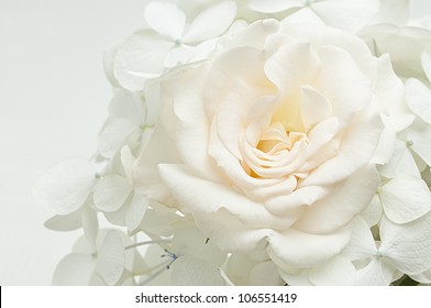 Floral Background Of White Flowers