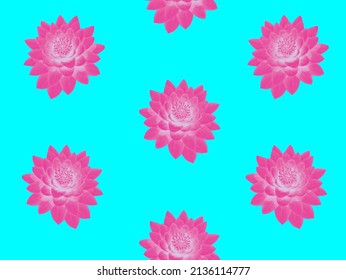 Floral Blue Desing Pattern Texture