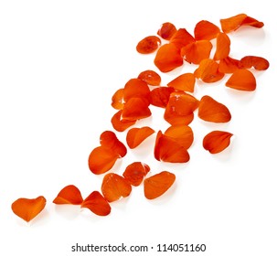 Floral Border Of Falling Flower Petals On White Background