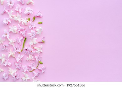 Floral border of fresh hyacinth flowers on pink background. Flat lay, top view, copy space