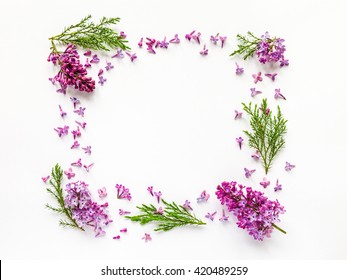 Floral border of fresh lilac flowers and juniper twigs on white. Flat lay, top view.