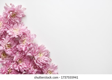 15,721 Chrysanthemum borders Images, Stock Photos & Vectors | Shutterstock