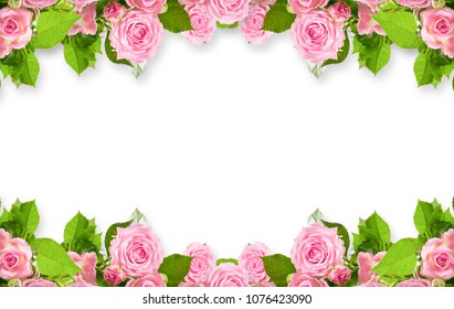 Floral Border Pink Roses Isolated On Stock Photo 1076423090 | Shutterstock