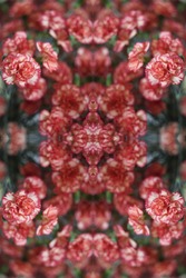 A Floral Bouquet Arrangement Abstract Of Red And Cream Carnations 0975