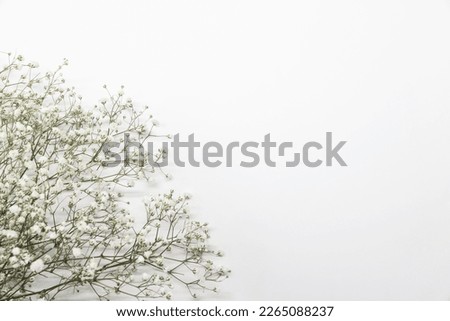 Floral composition with light, airy masses of small white flowers on turquoise white background, top view, frame. Gypsophila Baby's-breath flowers