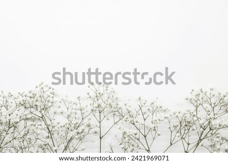 Floral composition with light, airy masses of small white flowers on turquoise white background, top view, frame. Gypsophila Baby's-breath flowers