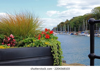 Floral Display On A Harbour Quayside.