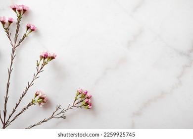 Floral flat lay frame marble background	
