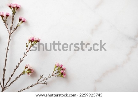 Floral flat lay frame marble background	
