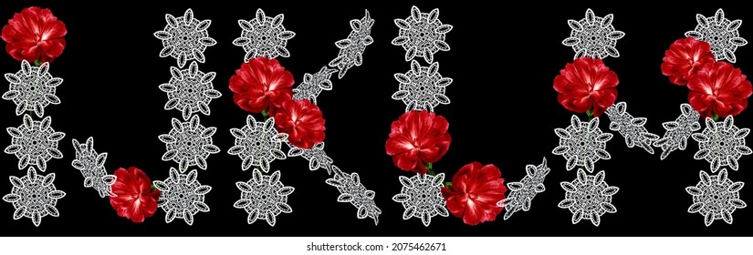 Floral font Alphabet  I;  J;  K;  L;  M; made from fresh red flowers carnation and openwork white flowers isolated on a black background. Font collection. For decorating ideas. 