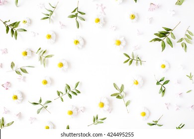 Floral Frame With Chamomile Flower And Green Branches. Flat Lay, Top View