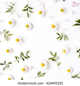 floral frame with chamomile flower and green branches. Flat lay, top view