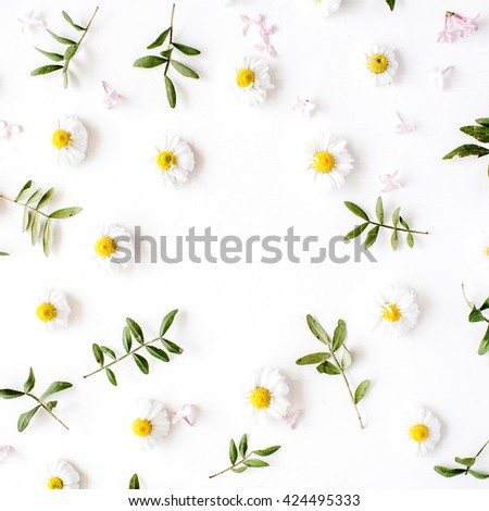 floral frame with chamomile flower and green branches. Flat lay, top view