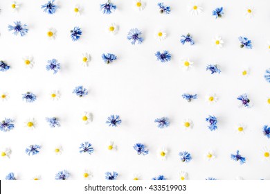 floral frame with cornflowers and chamomile white background. Flat lay, top view Stock Photo
