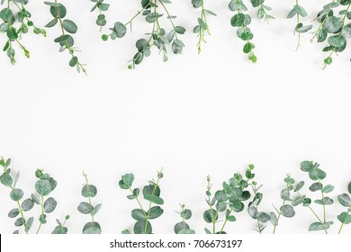 Floral Frame Of Eucalyptus Leaves Isolated On White Background. Flat Lay, Top View