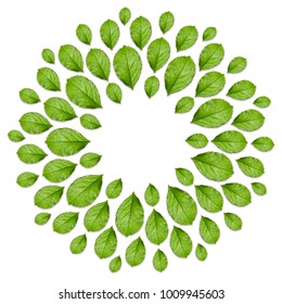 75,665 Mandala plants Images, Stock Photos & Vectors | Shutterstock