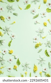 Floral frame from spring flowers on a light green background. Flat lay, top view, copy space. Beautiful floral pattern in pastel colors. Vertical photo