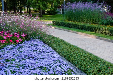 Floral landscaping in city park. Lush flower bed with pink, purple, blue and flowers near pedestrian sidewalk. Modern mixed flower bed in sunny day - Powered by Shutterstock