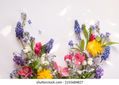 floral layout from different wildflowers on a white background. Beautiful light reflections. Top view 