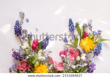 floral layout from different wildflowers on a white background. Beautiful light reflections. Top view. wildflowers flat lay 
