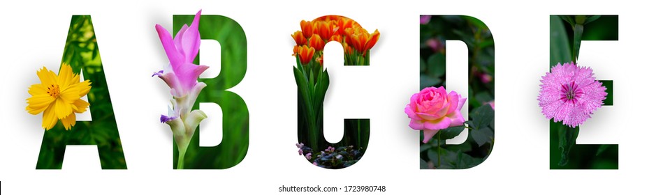 Floral letters. The letters A, B, C, D, E are made from colorful flower photos. A collection of wonderful flora letters for unique spring decorations and various creation ideas. clipping path