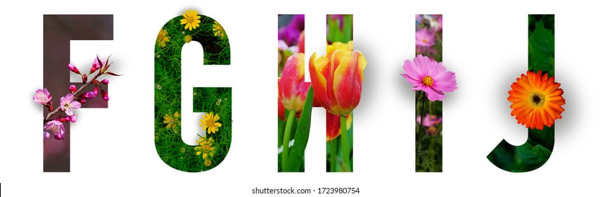 Floral letters. The letters F, G, H, I, J are made from colorful flower photos. A collection of wonderful flora letters for unique spring decorations and various creation ideas. clipping path