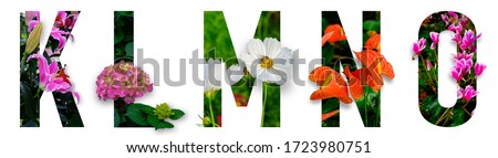 Floral letters. The letters K, L, M, N, O are made from colorful flower photos. A collection of wonderful flora letters for unique spring decorations and various creation ideas. clipping path