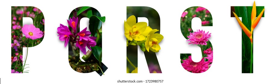 Floral letters. The letters P, Q, R, S, T are made from colorful flower photos. A collection of wonderful flora letters for unique spring decorations and various creation ideas. clipping path - Powered by Shutterstock