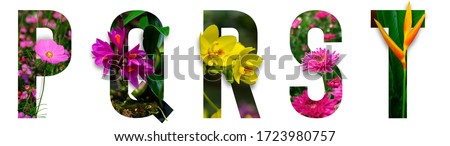 Floral letters. The letters P, Q, R, S, T are made from colorful flower photos. A collection of wonderful flora letters for unique spring decorations and various creation ideas. clipping path