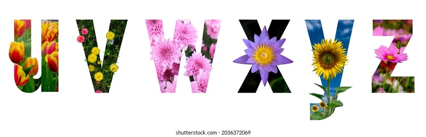 Floral letters. The letters u, v, w, x, y, z, are made from colorful flower photos. A collection of wonderful flora letters for unique spring decorations. isolated background with clipping path - Powered by Shutterstock