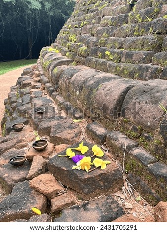 Floral offerings left by worshipers at an ancient Buddhist stupa.
