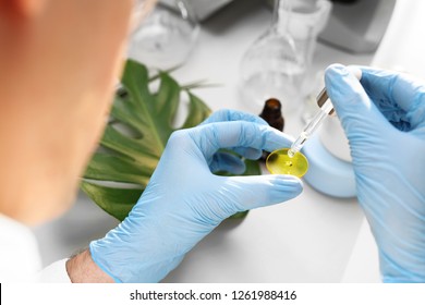 Blumenöl. Herstellung von Kosmetika.
Wissenschaftliches Labor. Der Ingenieur studiert Pflanzen.
