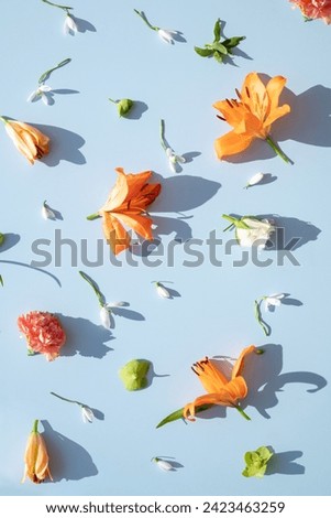 Floral patter illuminated by the sun against a blue background. Spring and Summer outdoor flower concept.