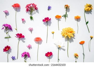 Floral pattern on white background. Flat lay, top view. Pattern from different bright garden flowers.