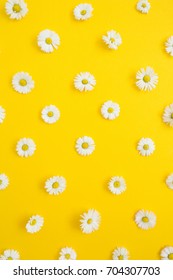 Floral pattern of white chamomile daisy flowers on yellow background. Flat lay, top view. Floral background. Pattern of flower buds.