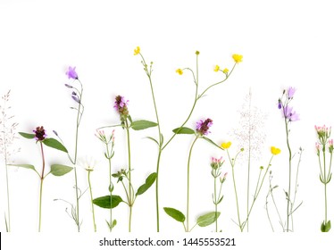 Floral pattern with wildflowers, green leaves, branches on white background. Flat lay, top view.