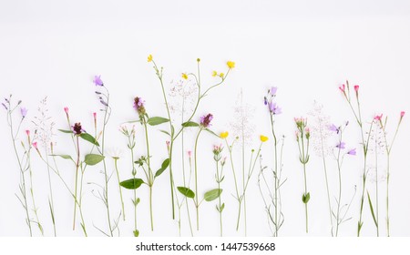 Floral pattern with wildflowers, green leaves, branches on white background. Flat lay, top view.