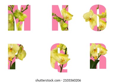 Floral pink letters M N O P Q R