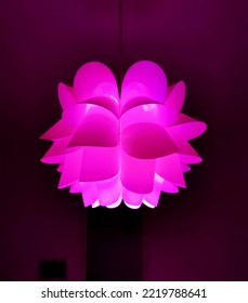 Floral Shaped Chandelier Glowing With Hot Pink Light Isolated On Dark Background