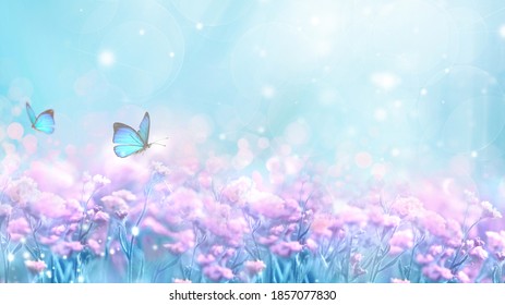 Floral spring natural blue background with fluffy airy lilac flowers on meadow and fluttering butterflies on blue sky background. Dreamy gentle air artistic image. Soft focus.