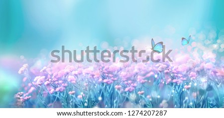 Floral spring natural landscape with wild pink lilac flowers on meadow and fluttering butterflies on blue sky background. Dreamy gentle air artistic image. Soft focus, author processing.