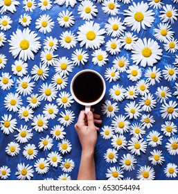 Floral summer background. A mug of coffee in a woman's hand on a blue background with chamomile or daisies. Hello summer. The concept of the arrival of summer mood and heat. Flat lay composition.
